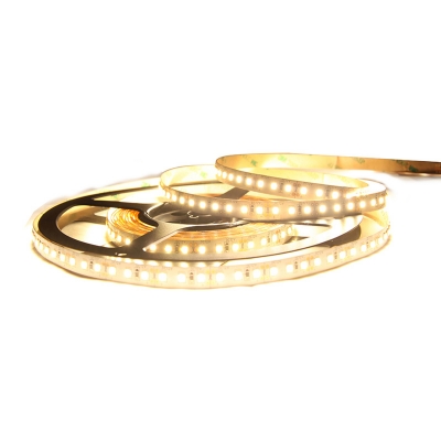 LED pásek - FKLP-12/3528/060 2900K 4,8W/m 12V /5m/